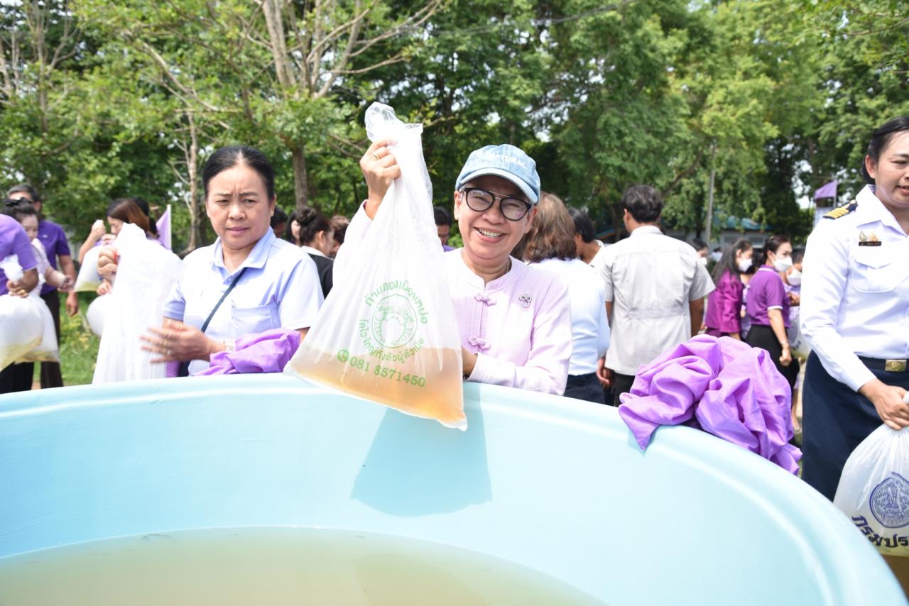 ภาพประกอบที่ 8