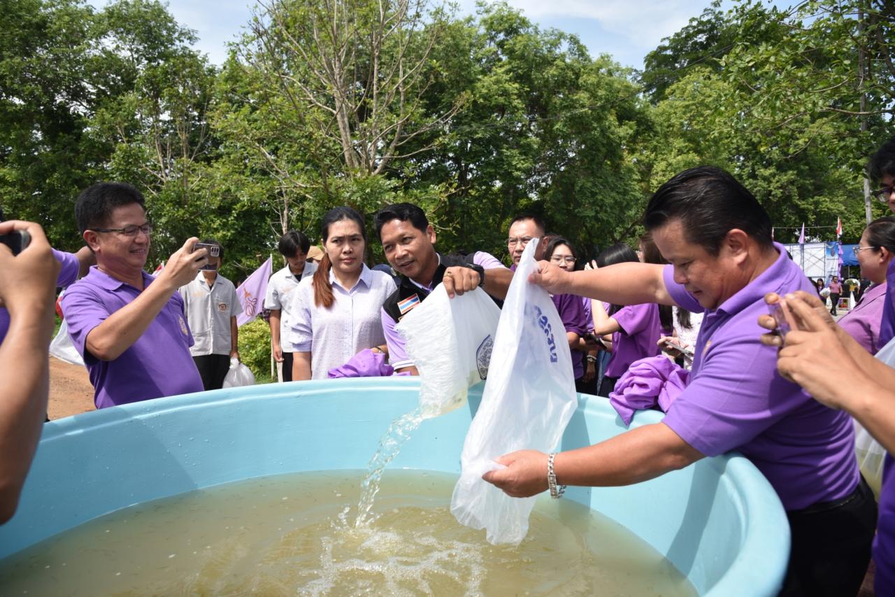 ภาพประกอบที่ 9