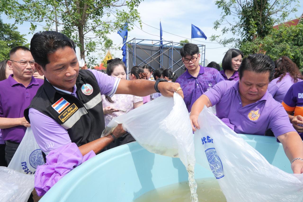 ภาพประกอบที่ 5