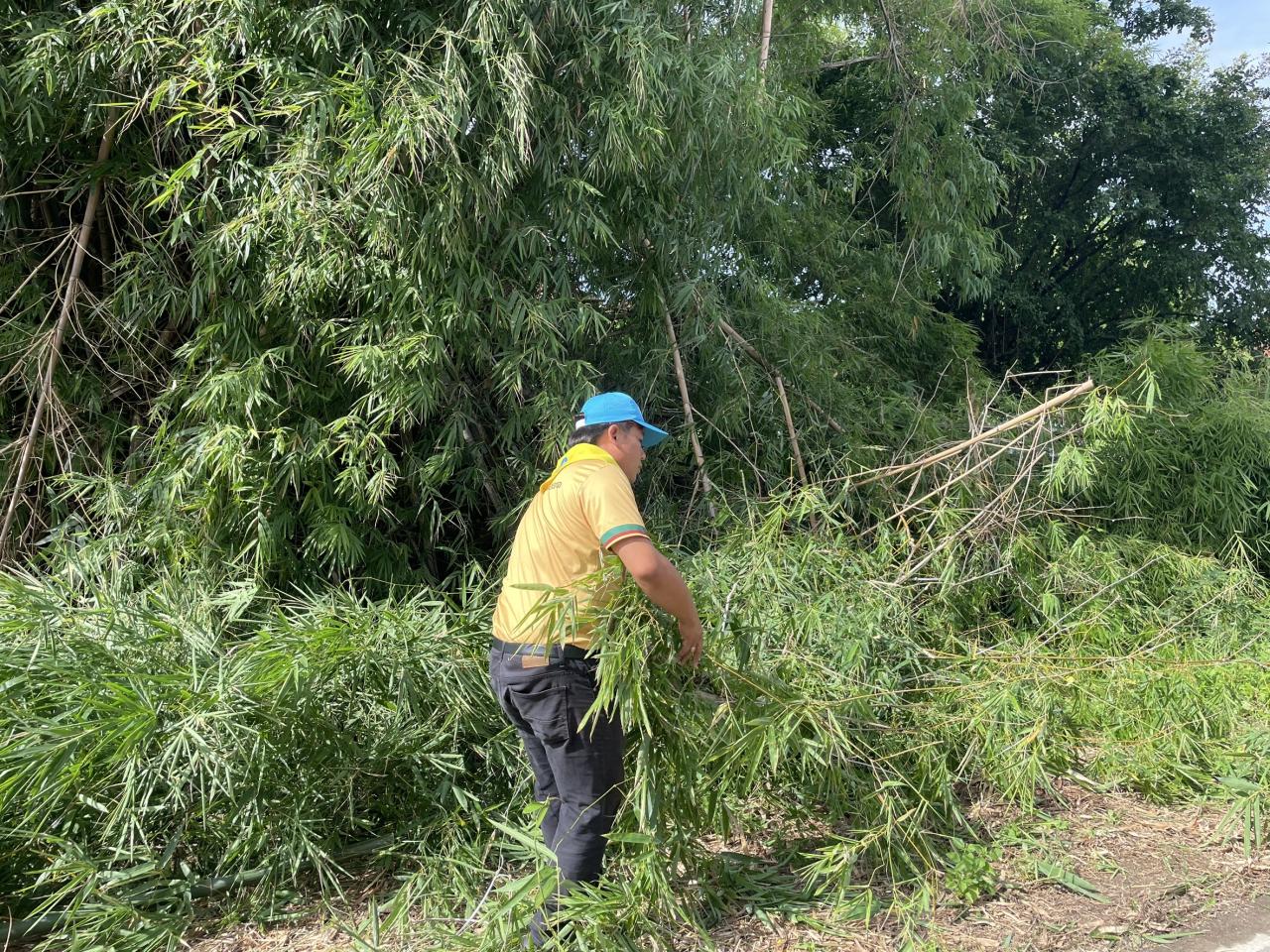 ภาพประกอบที่ 3