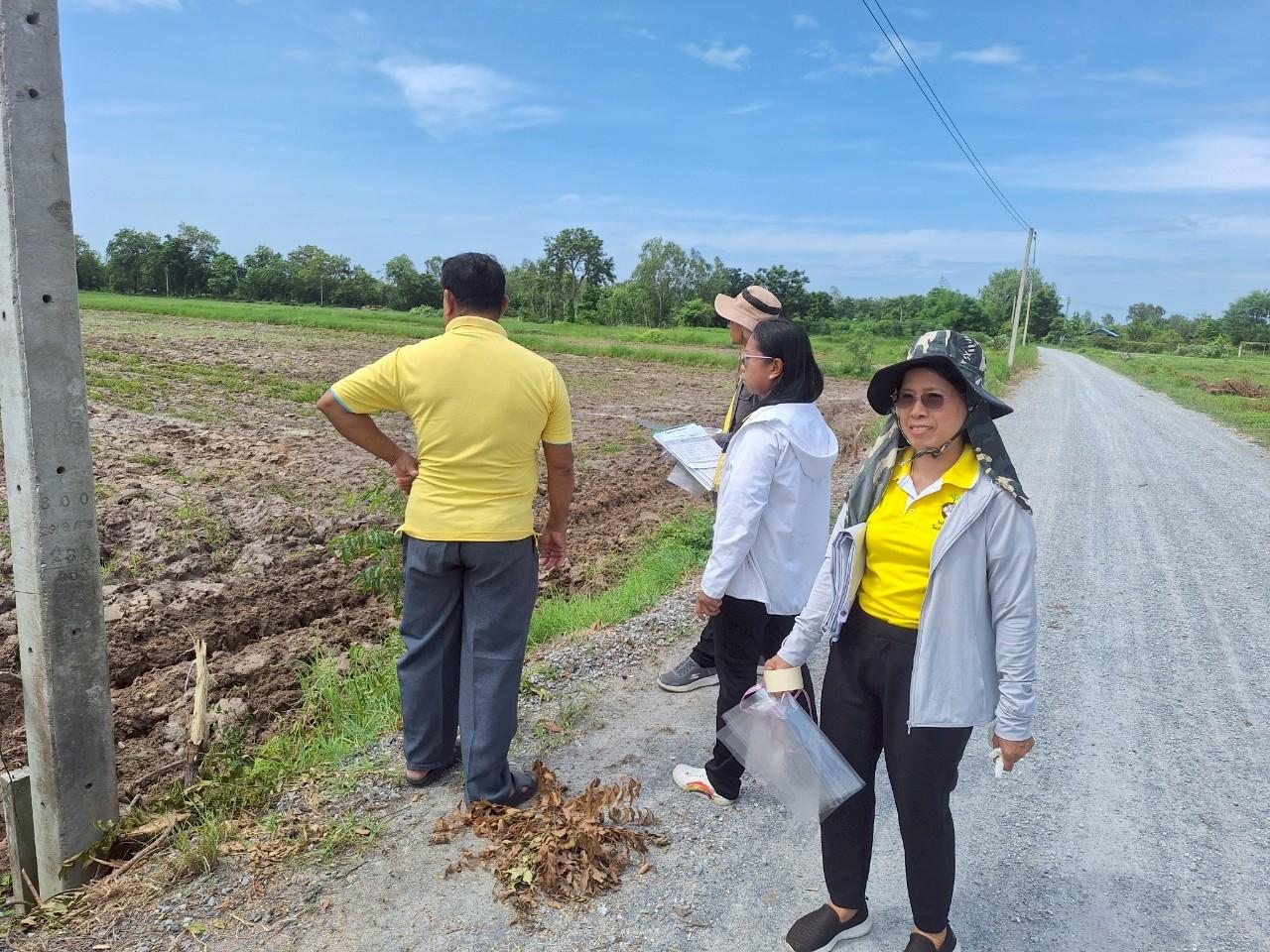 ภาพประกอบที่ 0