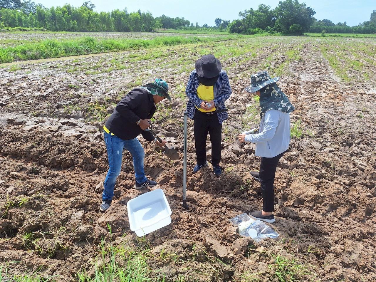 ภาพประกอบที่ 2