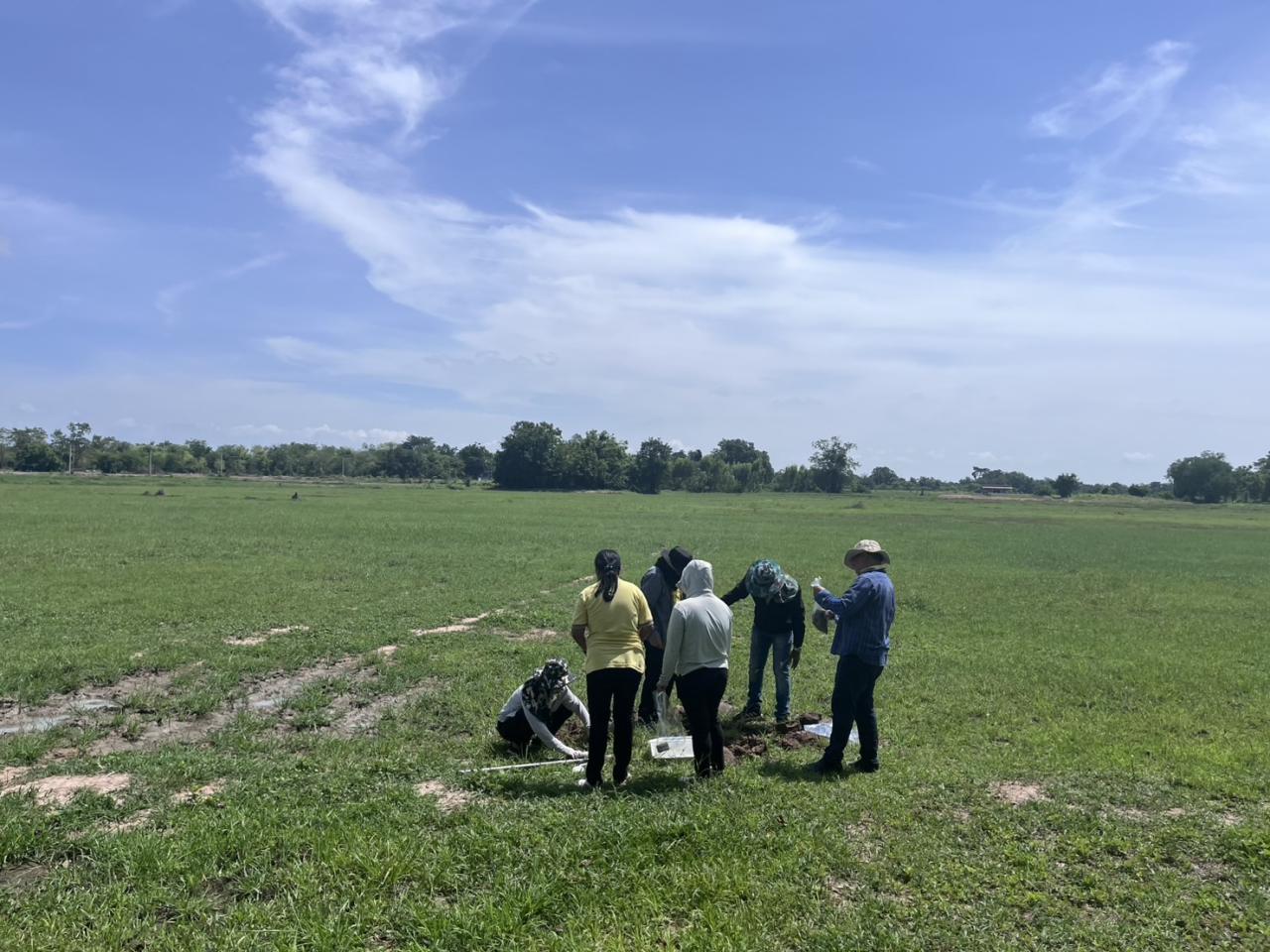 ภาพประกอบที่ 4