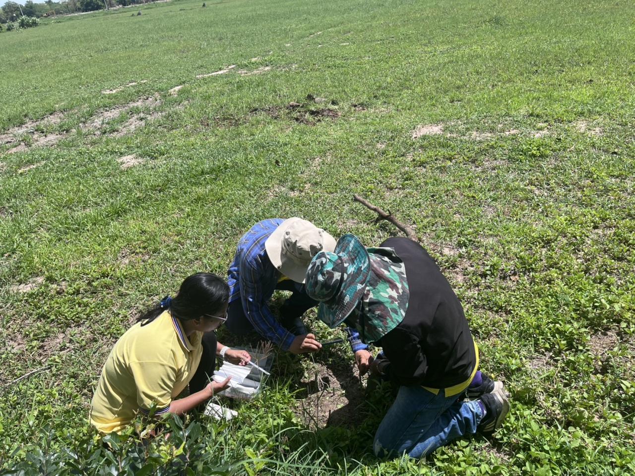 ภาพประกอบที่ 5