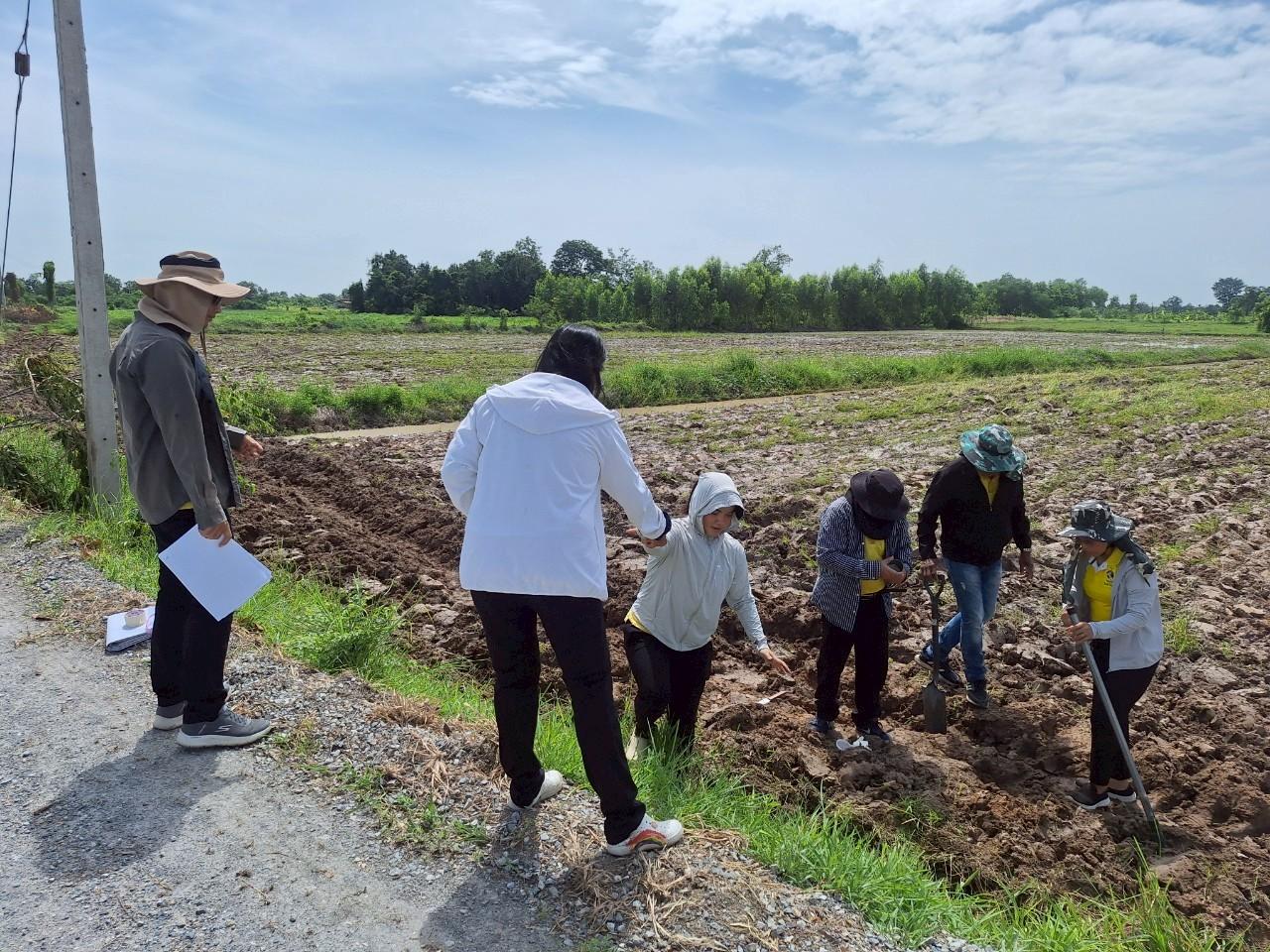 ภาพประกอบที่ 6