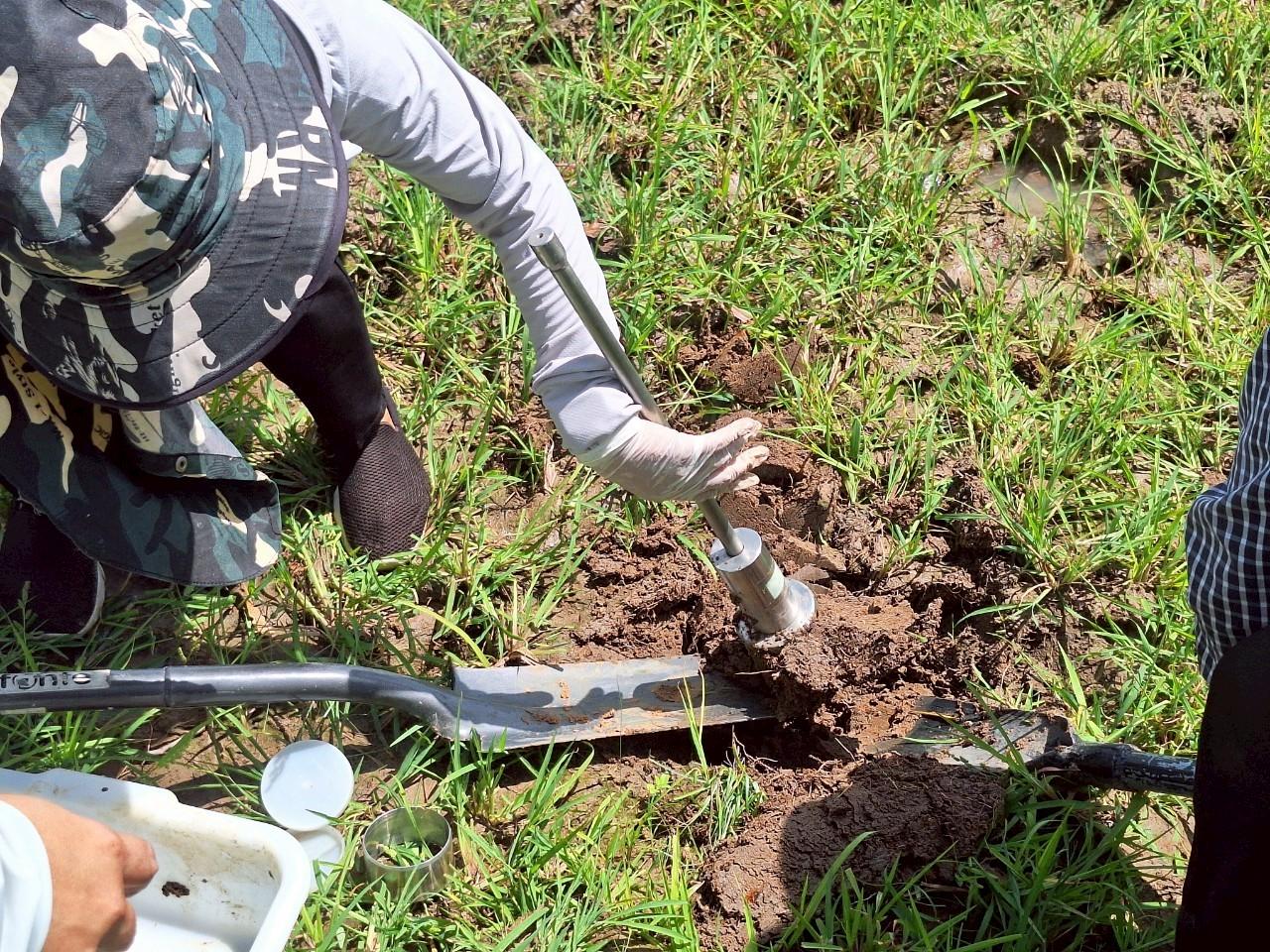 ภาพประกอบที่ 10