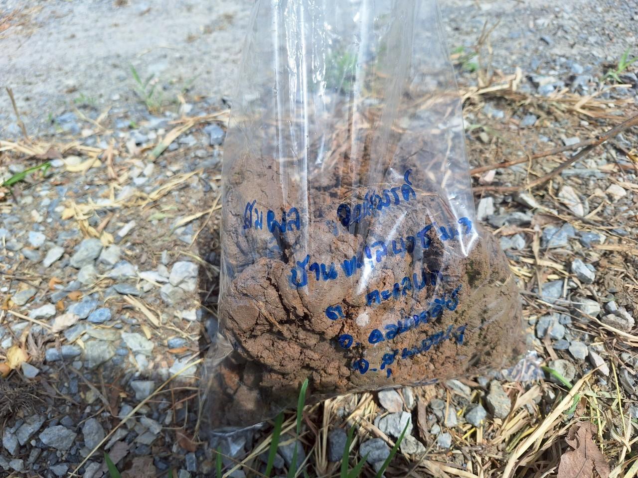 ภาพประกอบที่ 13