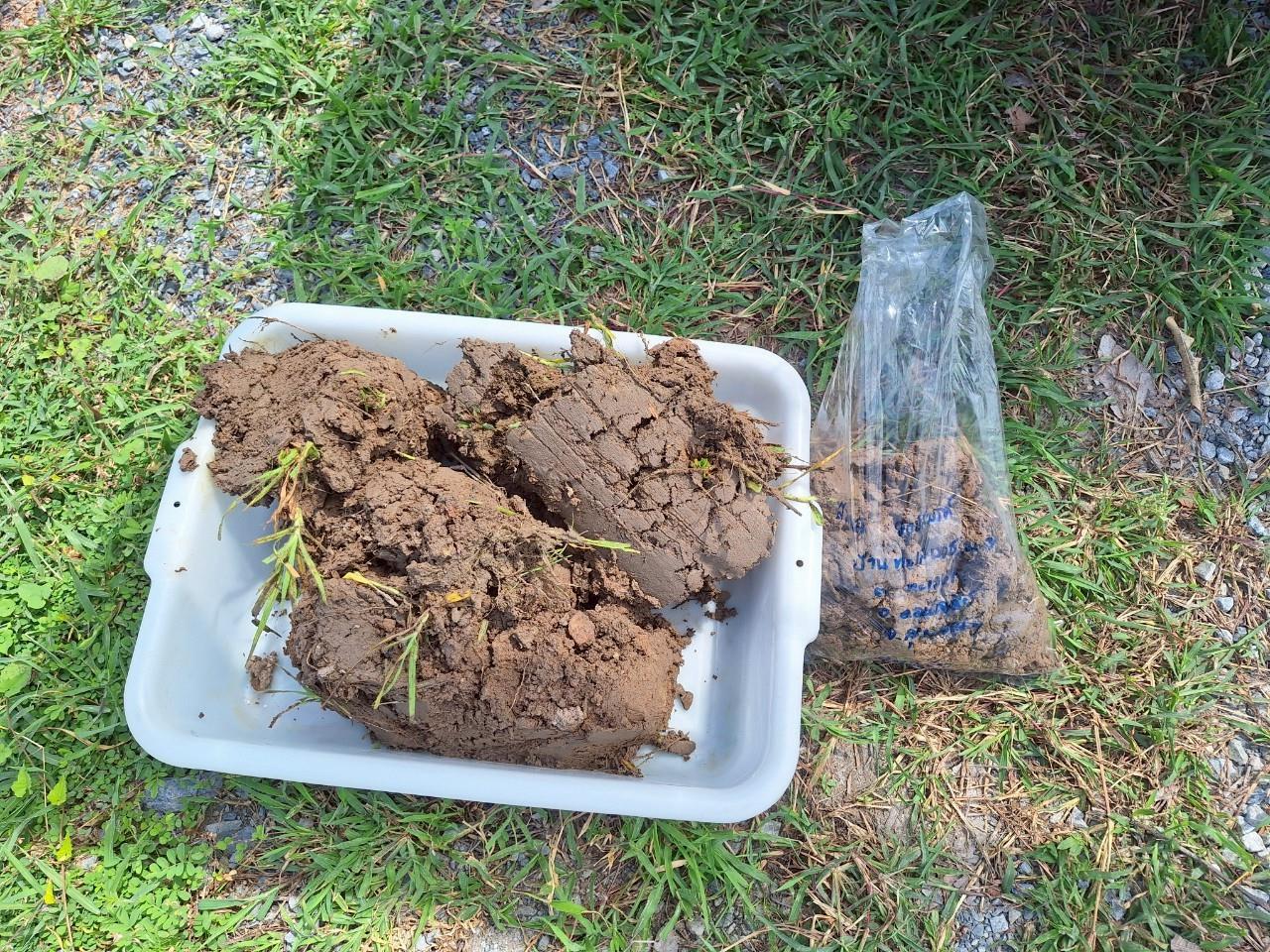 ภาพประกอบที่ 14