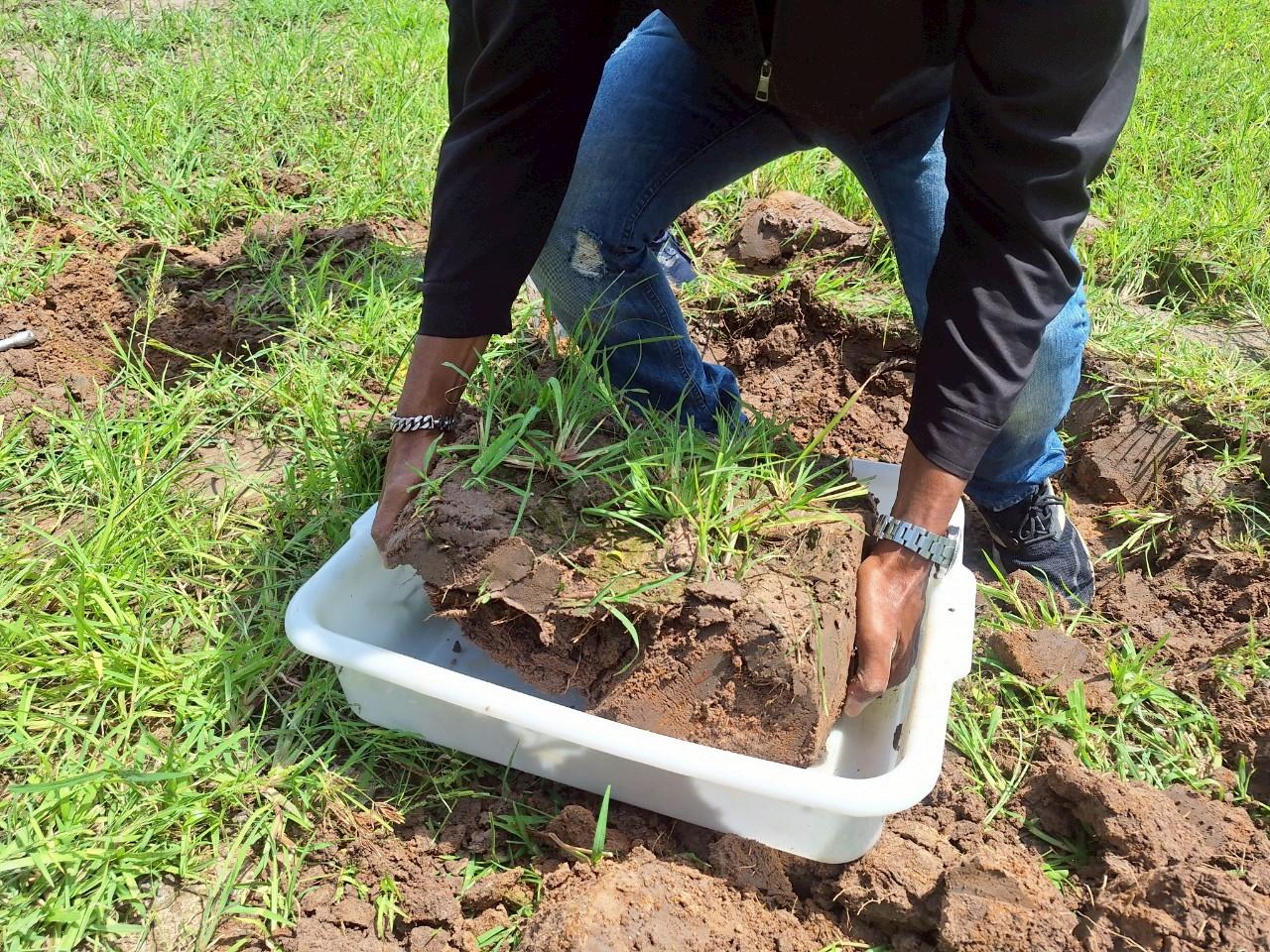 ภาพประกอบที่ 15