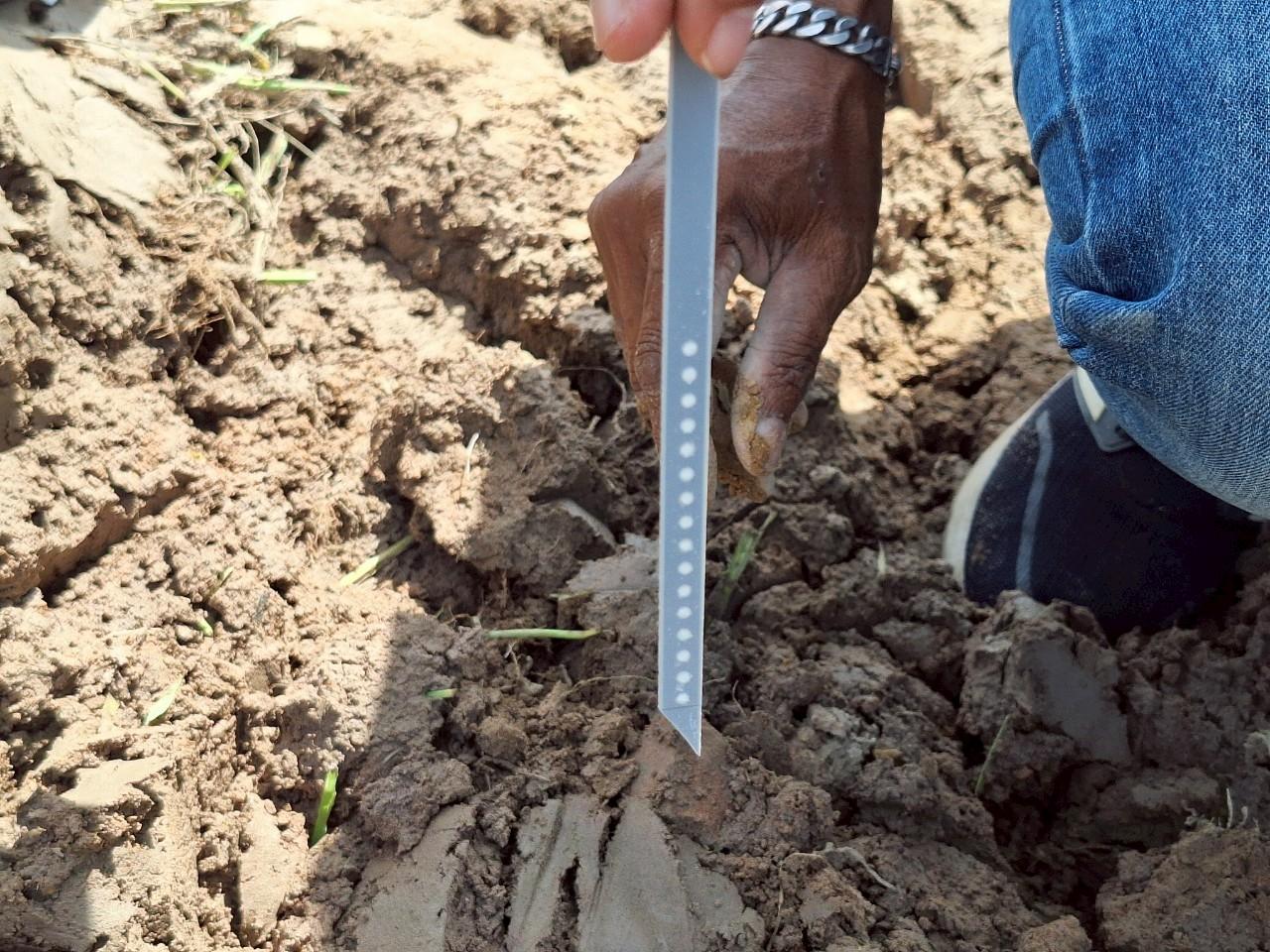 ภาพประกอบที่ 19