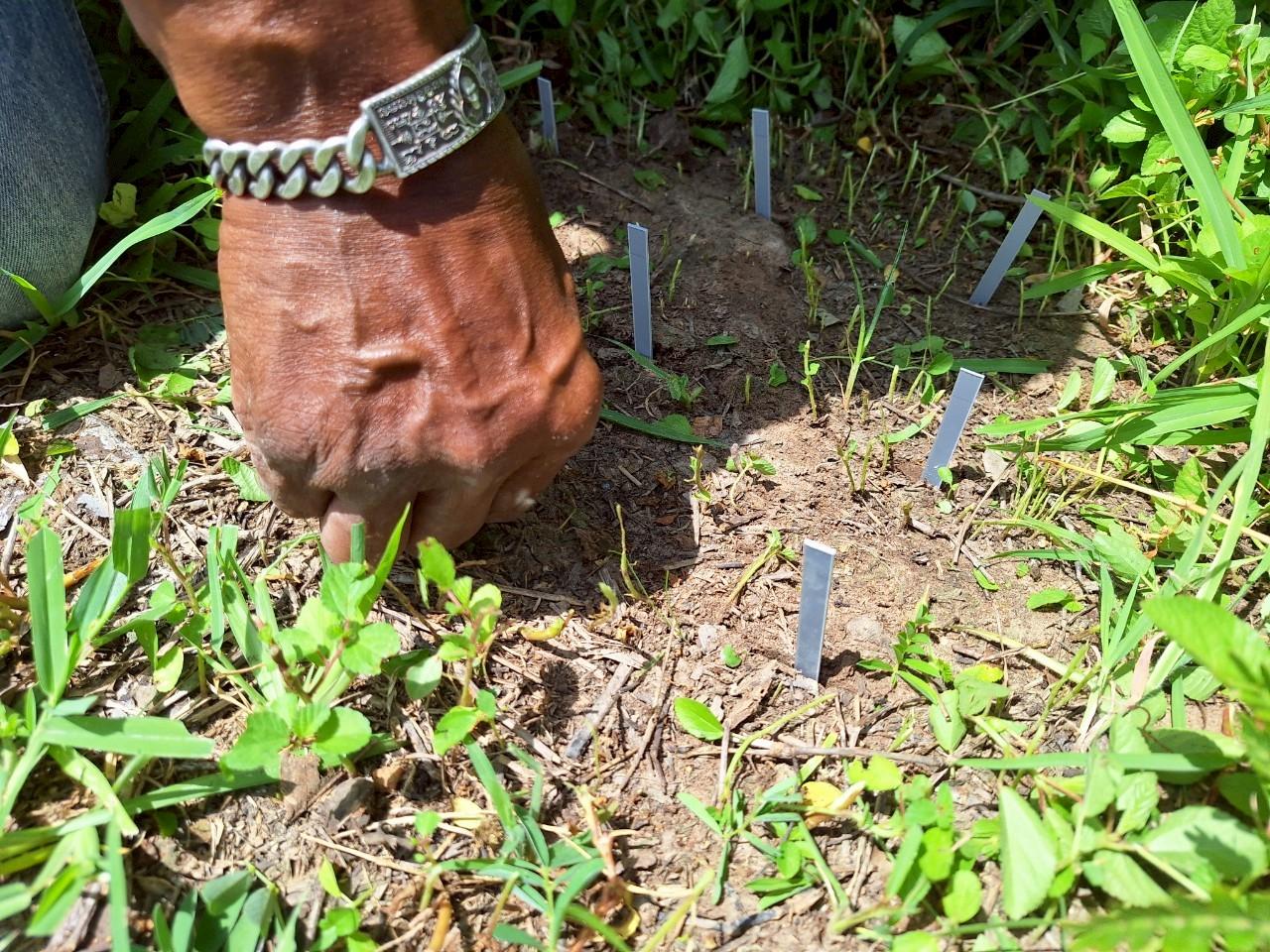 ภาพประกอบที่ 21