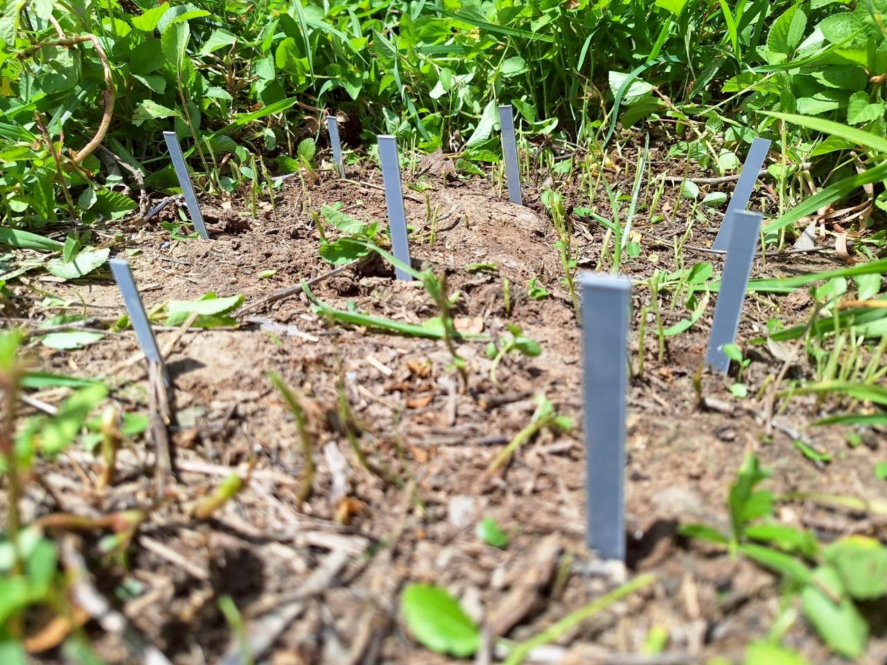 ภาพประกอบที่ 22