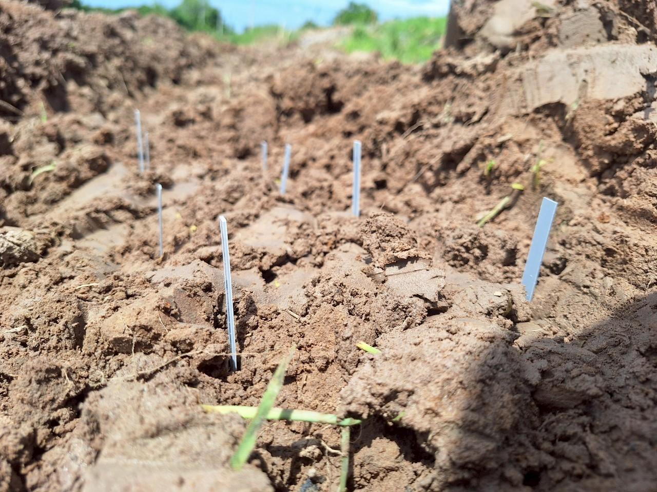 ภาพประกอบที่ 23