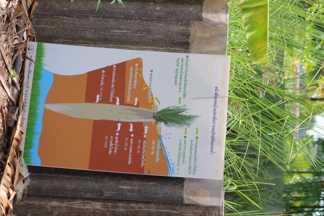 ภาพประกอบที่ 8