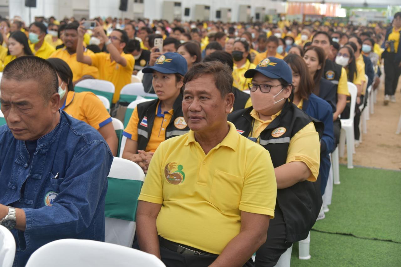 ภาพประกอบที่ 15