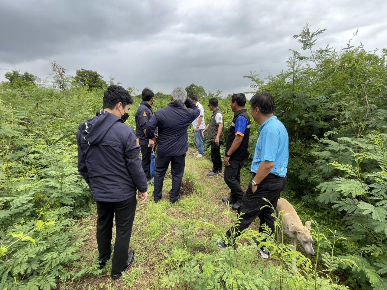 ภาพประกอบที่ 0