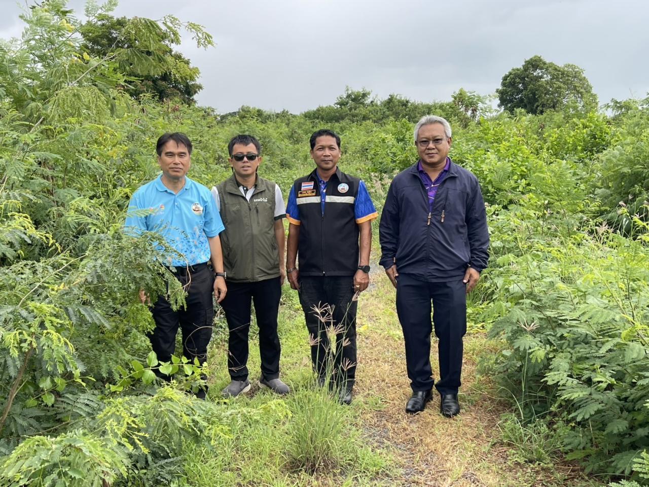 ภาพประกอบที่ 1