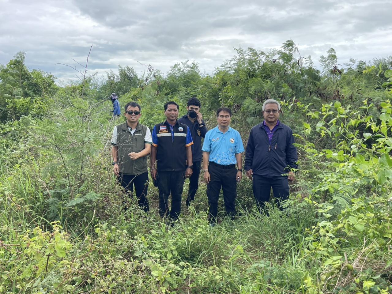 ภาพประกอบที่ 3