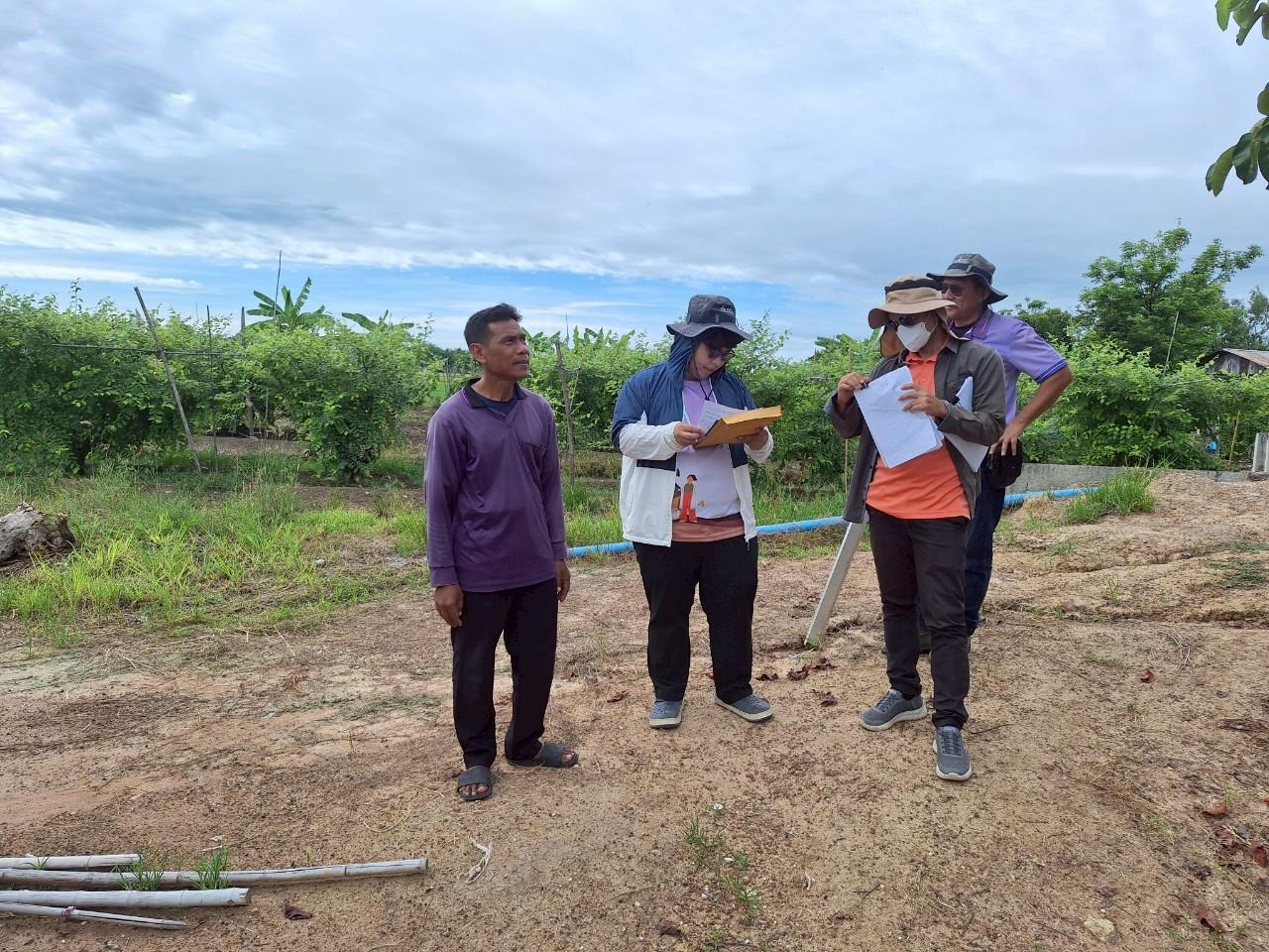 ภาพประกอบที่ 0