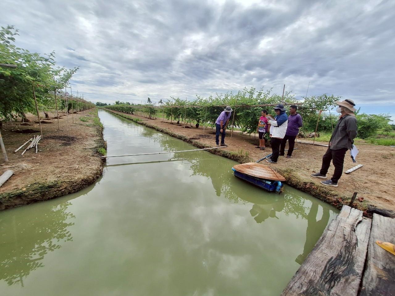 ภาพประกอบที่ 1
