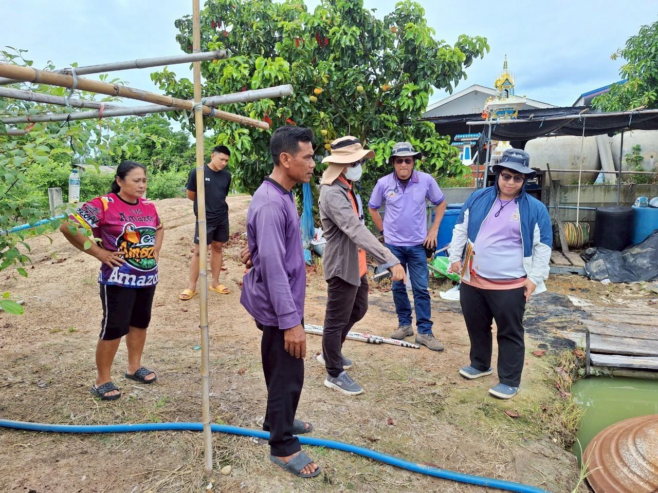 ภาพประกอบที่ 2