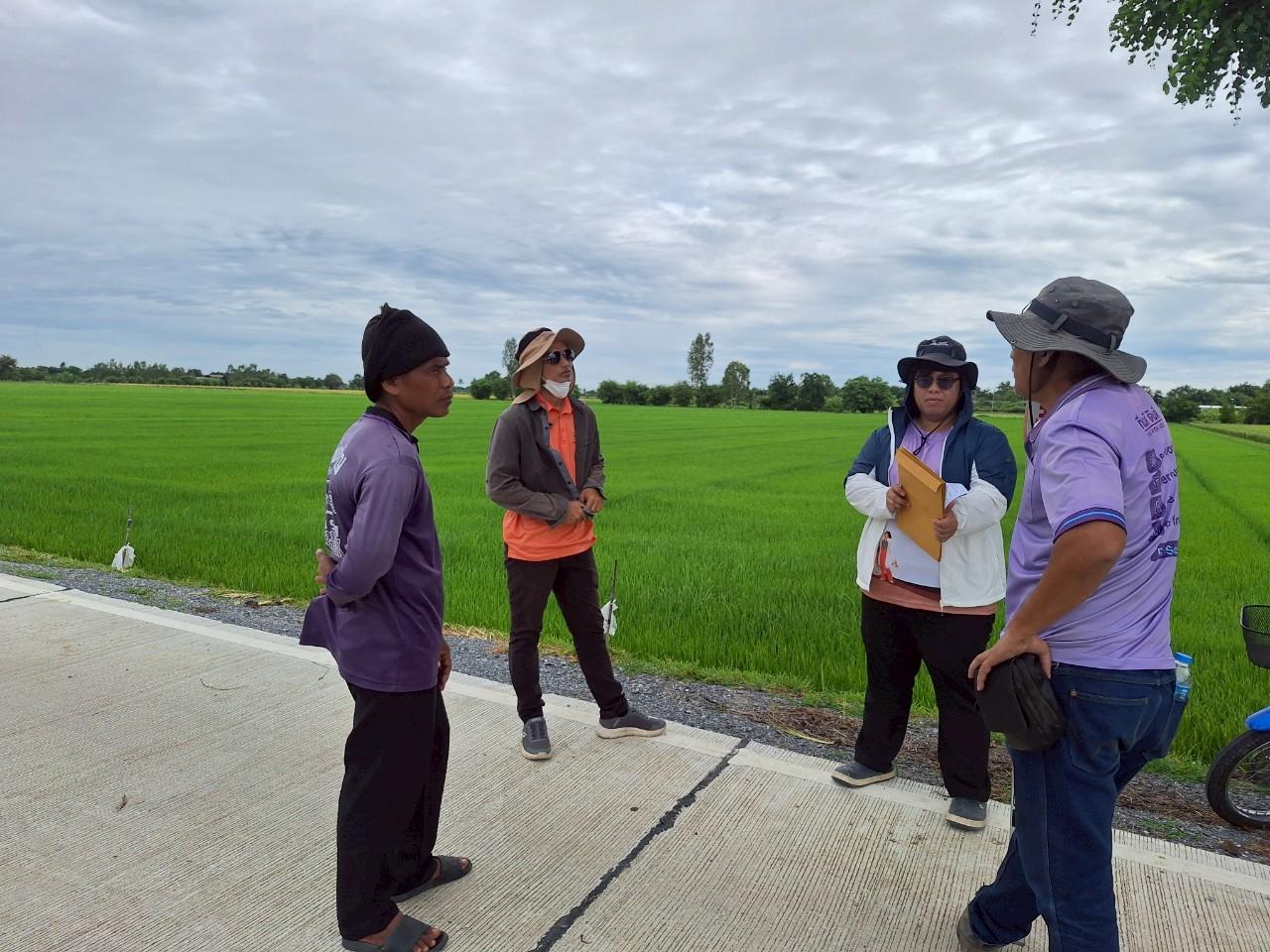 ภาพประกอบที่ 3