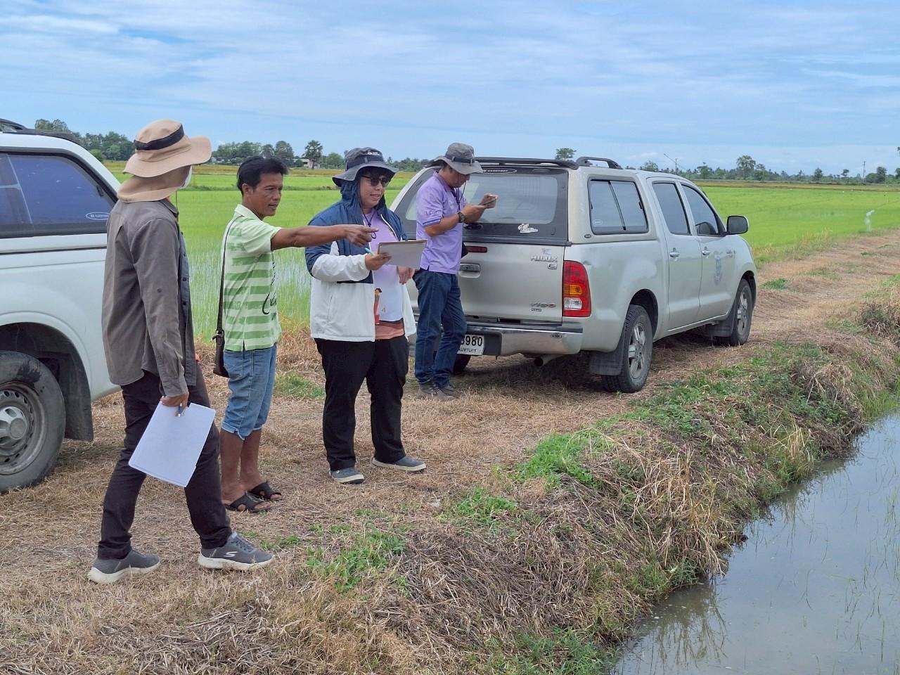 ภาพประกอบที่ 4