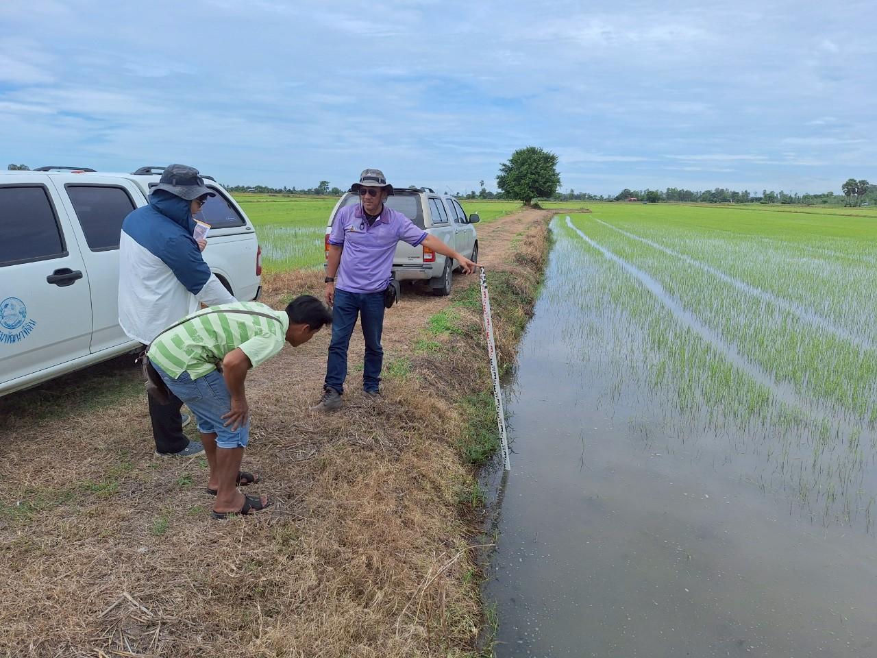 ภาพประกอบที่ 5