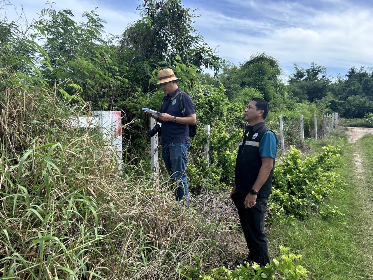 ภาพประกอบที่ 1
