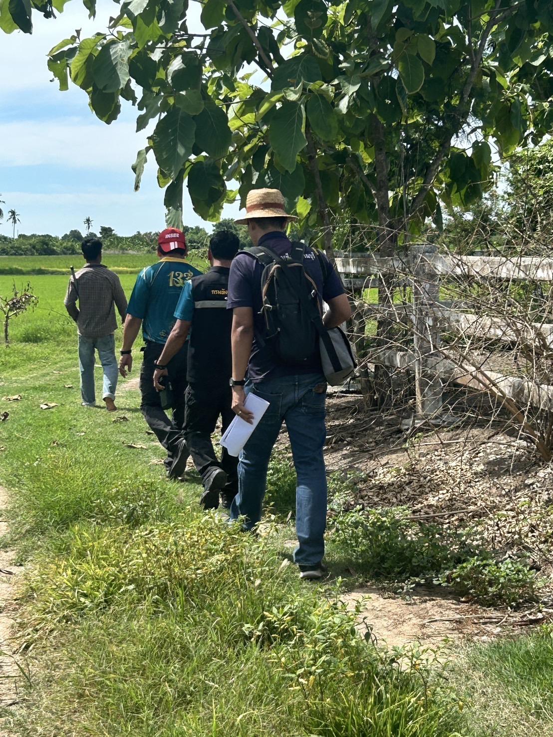 ภาพประกอบที่ 4