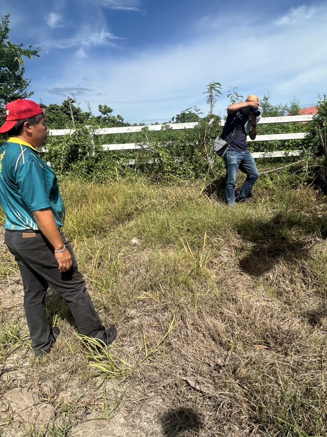 ภาพประกอบที่ 5
