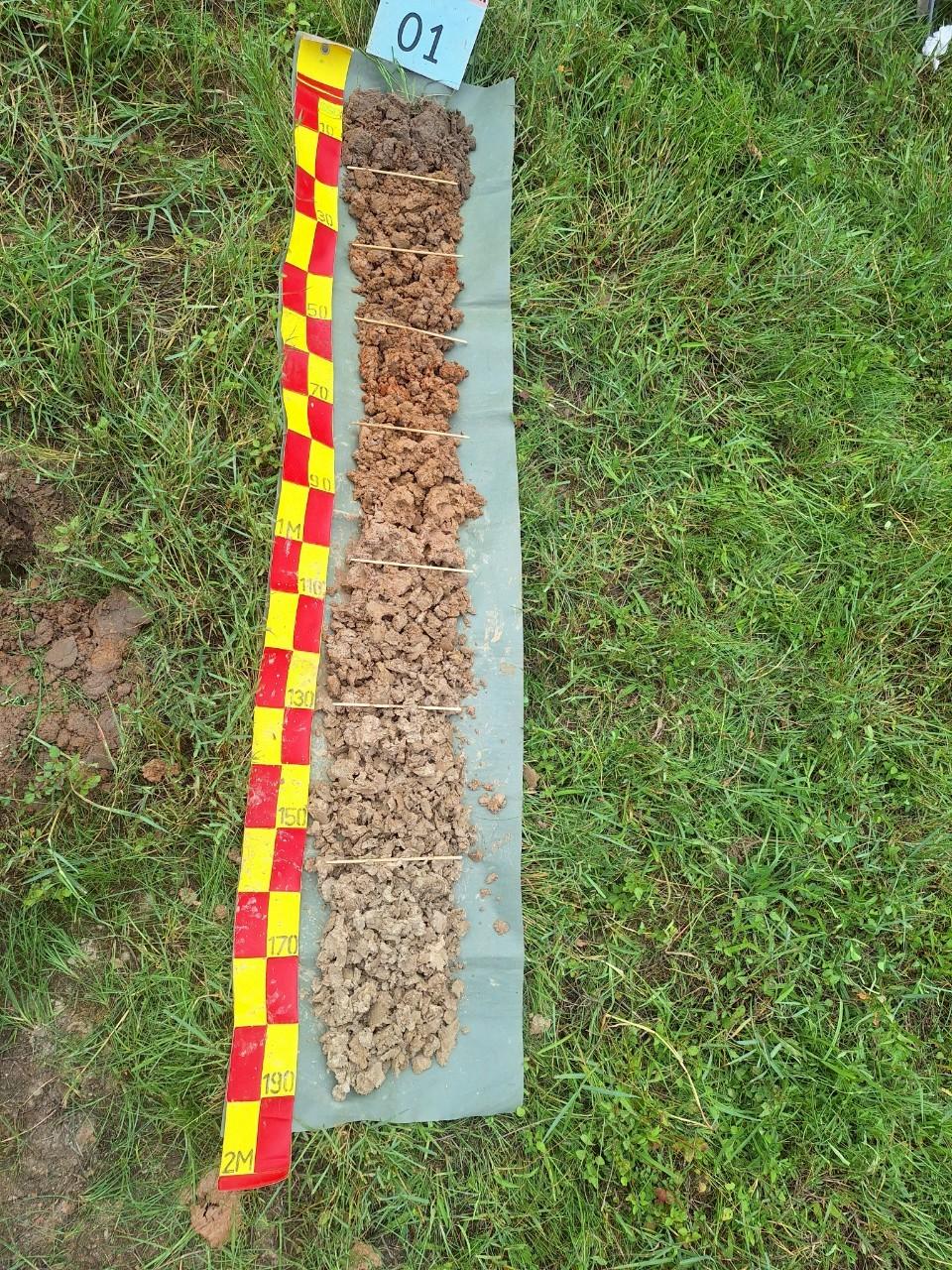 ภาพประกอบที่ 9