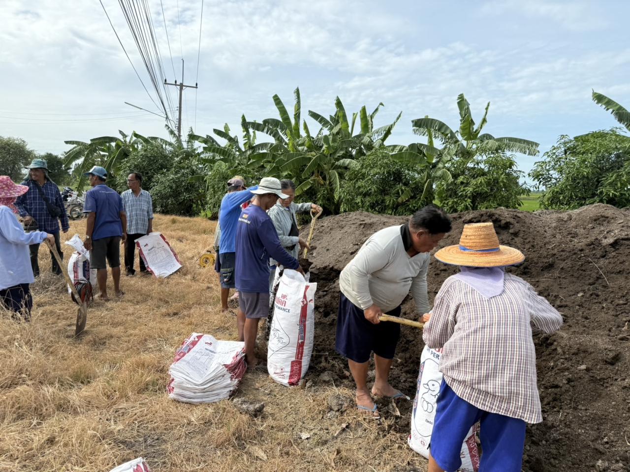 ภาพประกอบที่ 6