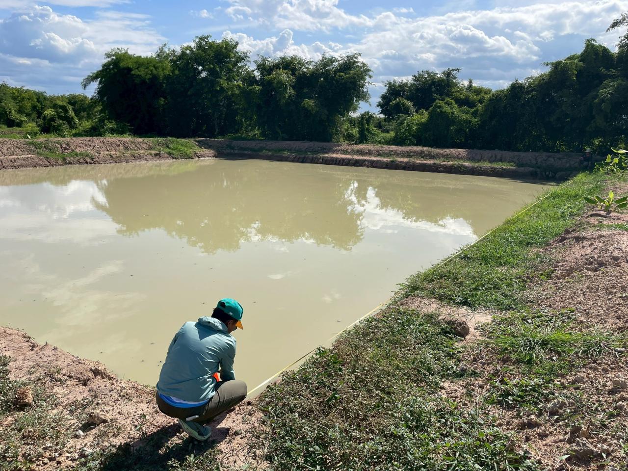ภาพประกอบที่ 13