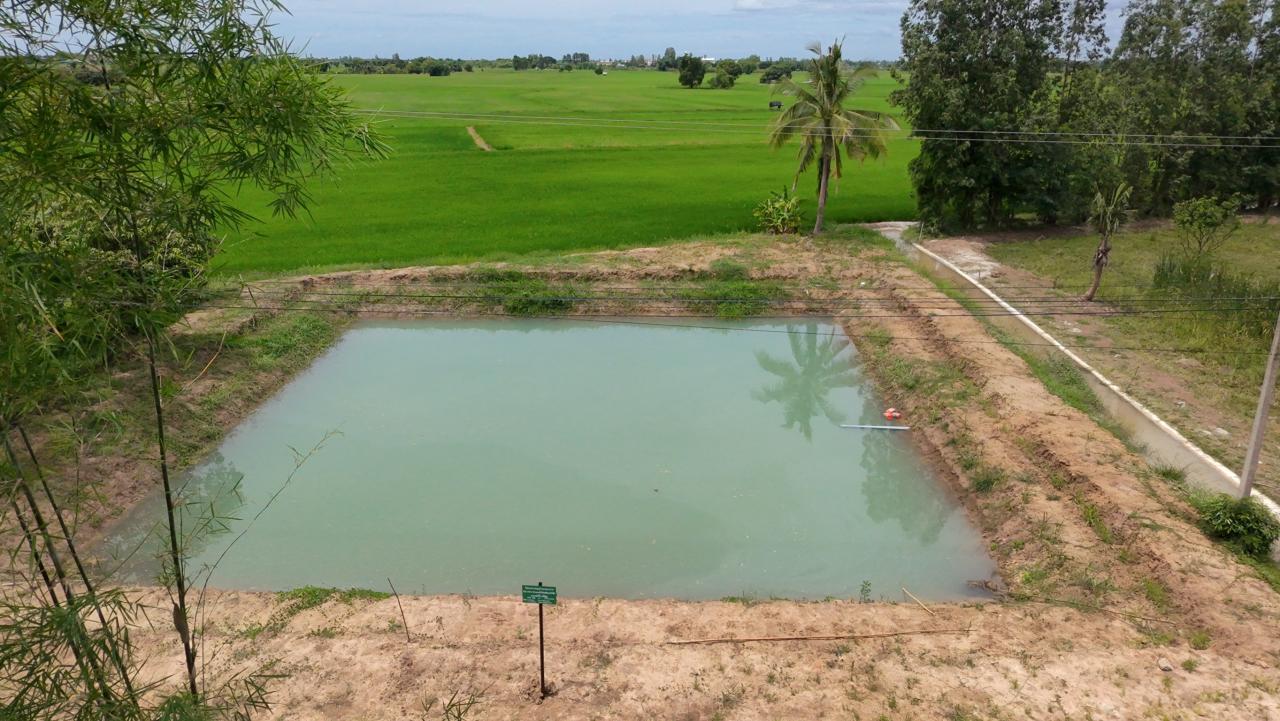 ภาพประกอบที่ 14