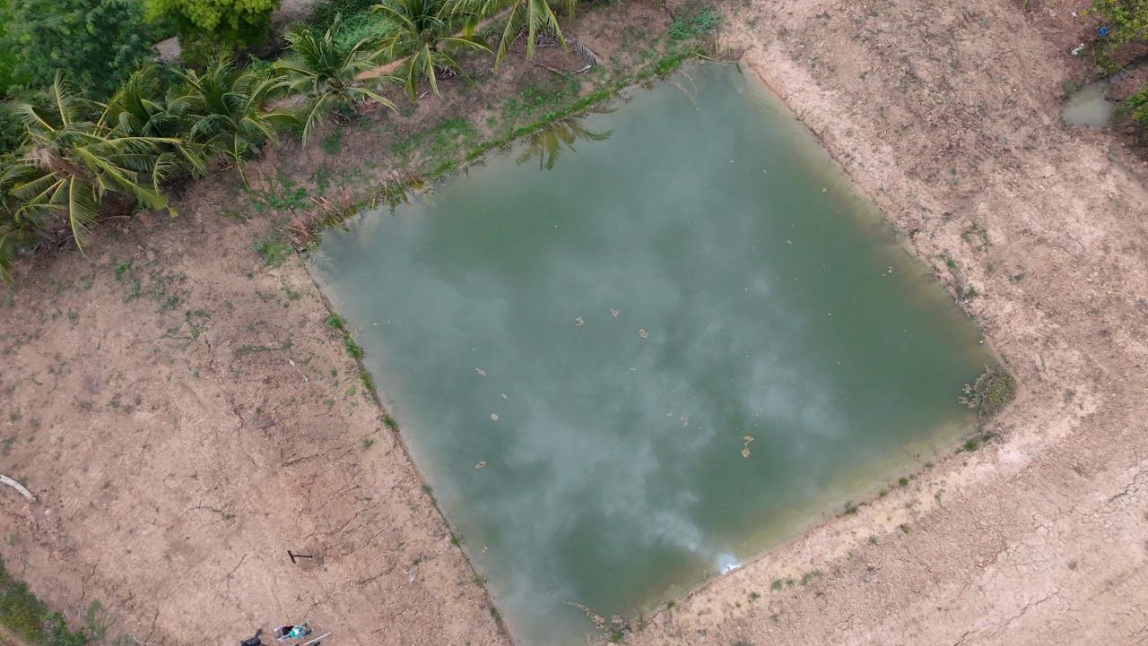 ภาพประกอบที่ 15