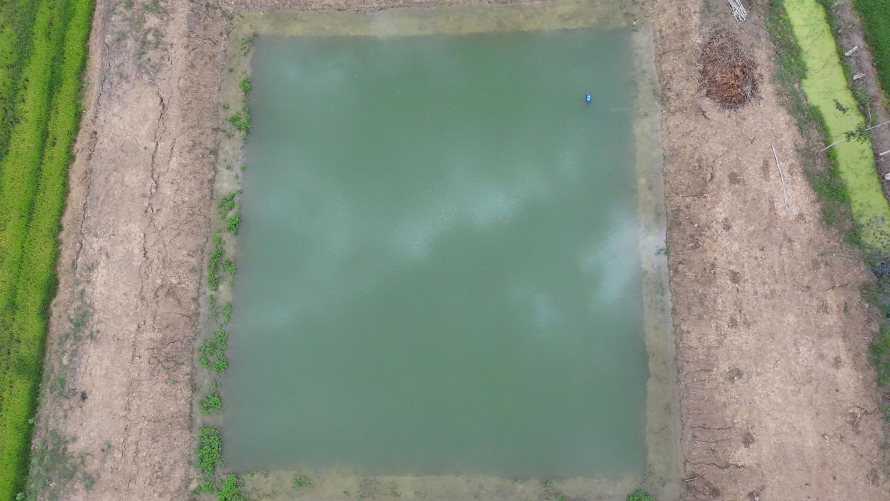 ภาพประกอบที่ 19