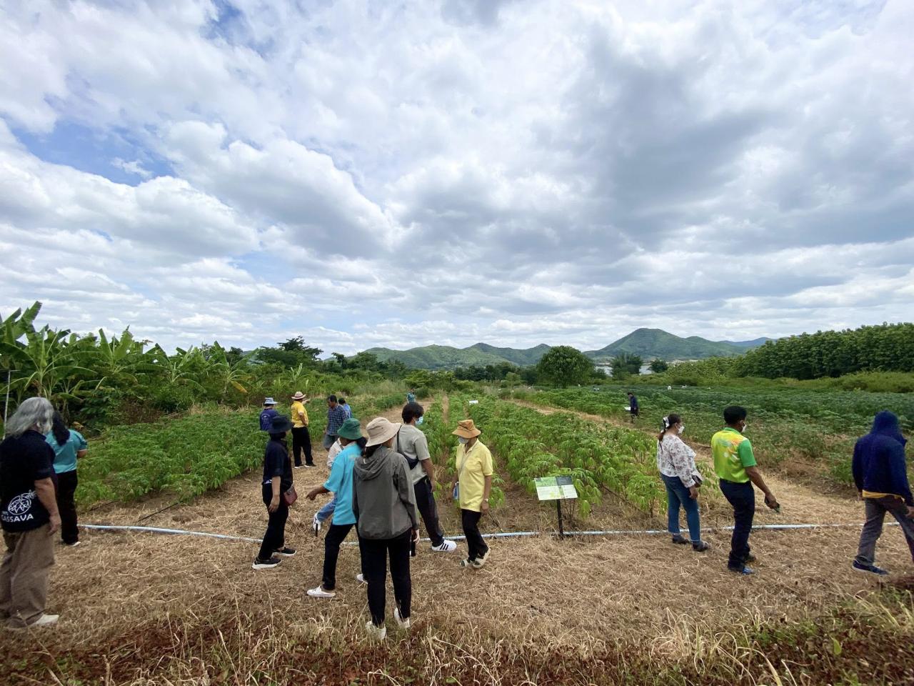 ภาพประกอบที่ 0