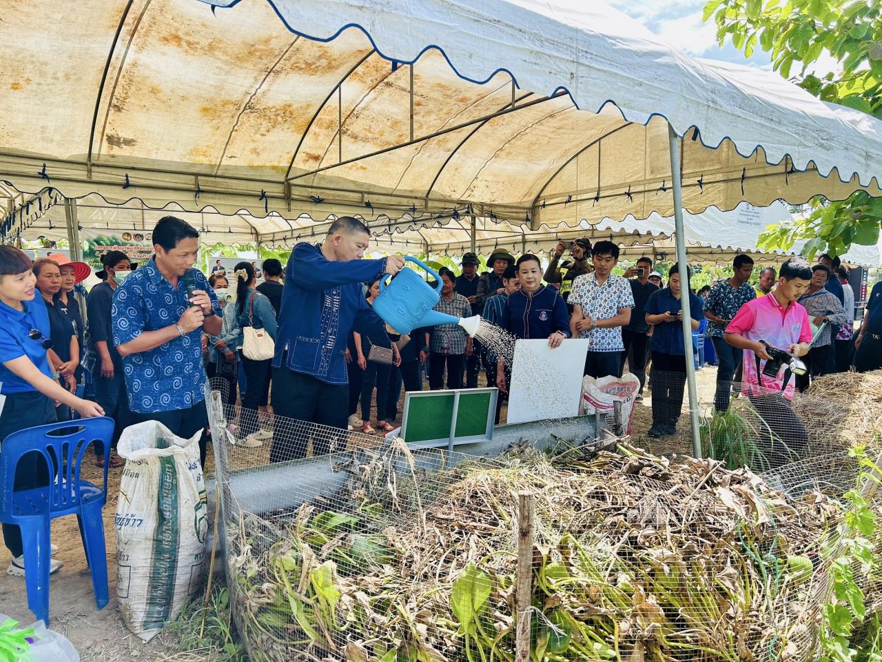 ภาพประกอบที่ 13