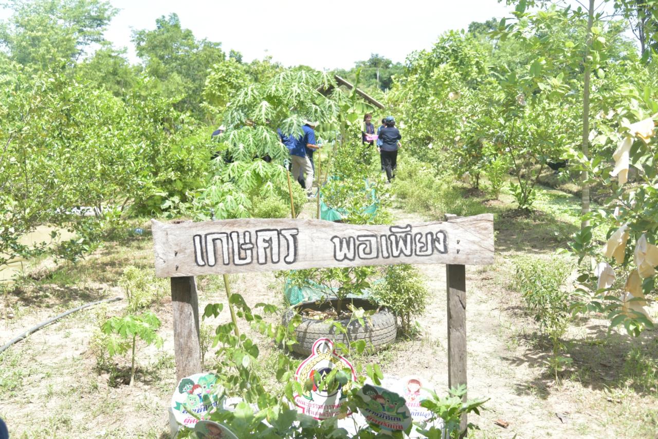 ภาพประกอบที่ 5