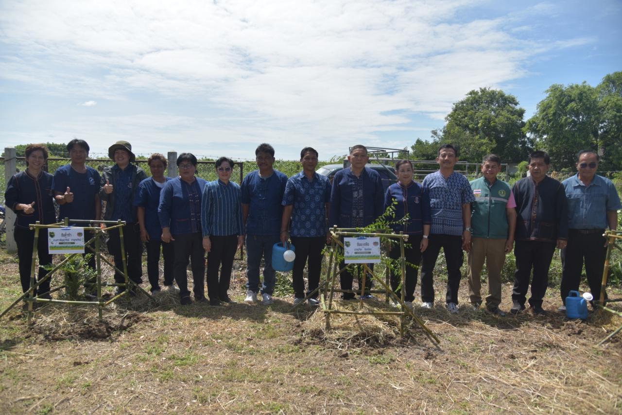 ภาพประกอบที่ 3