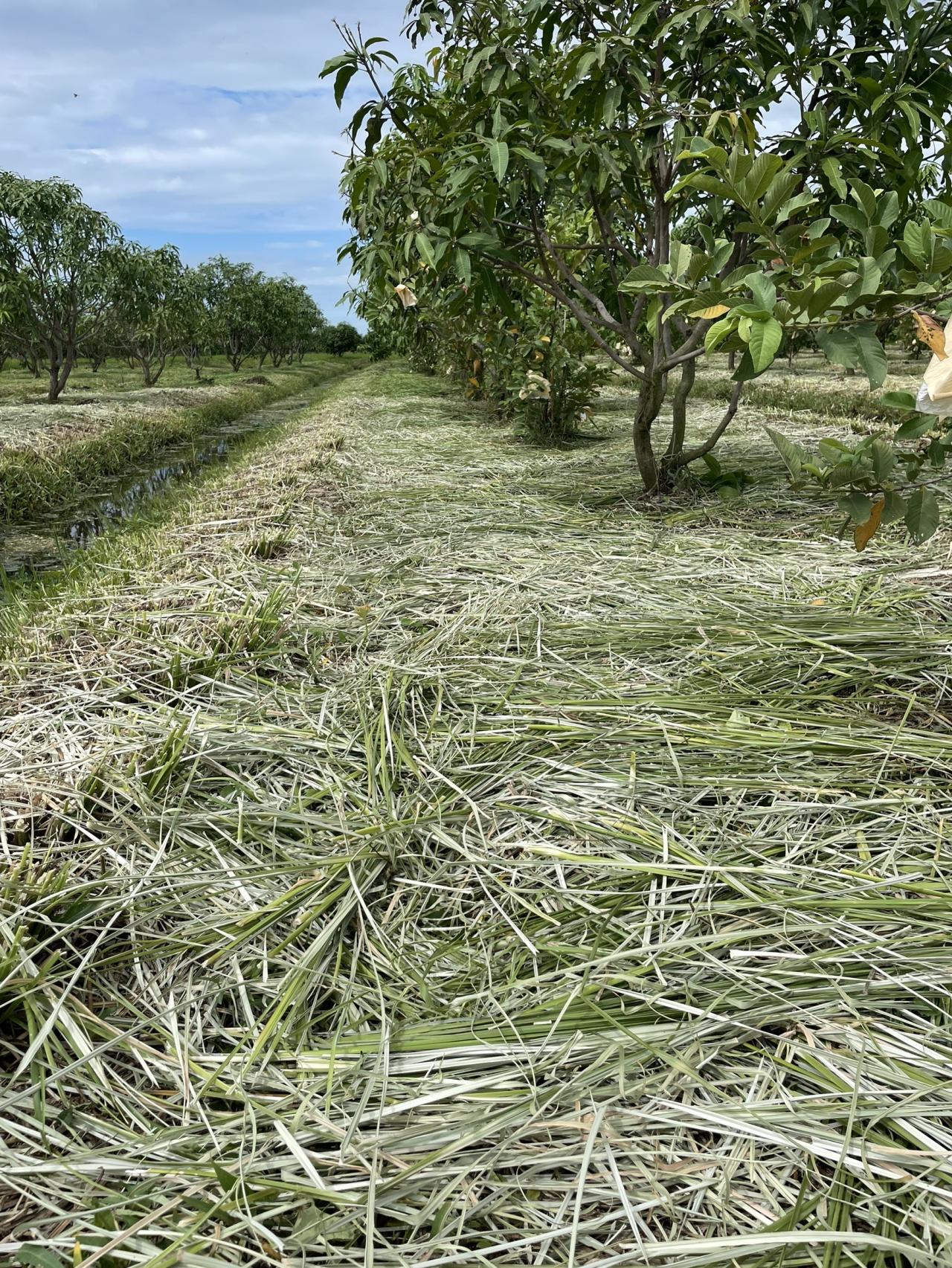 ภาพประกอบที่ 5