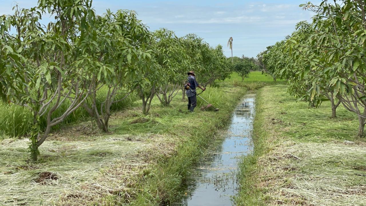 ภาพประกอบที่ 6