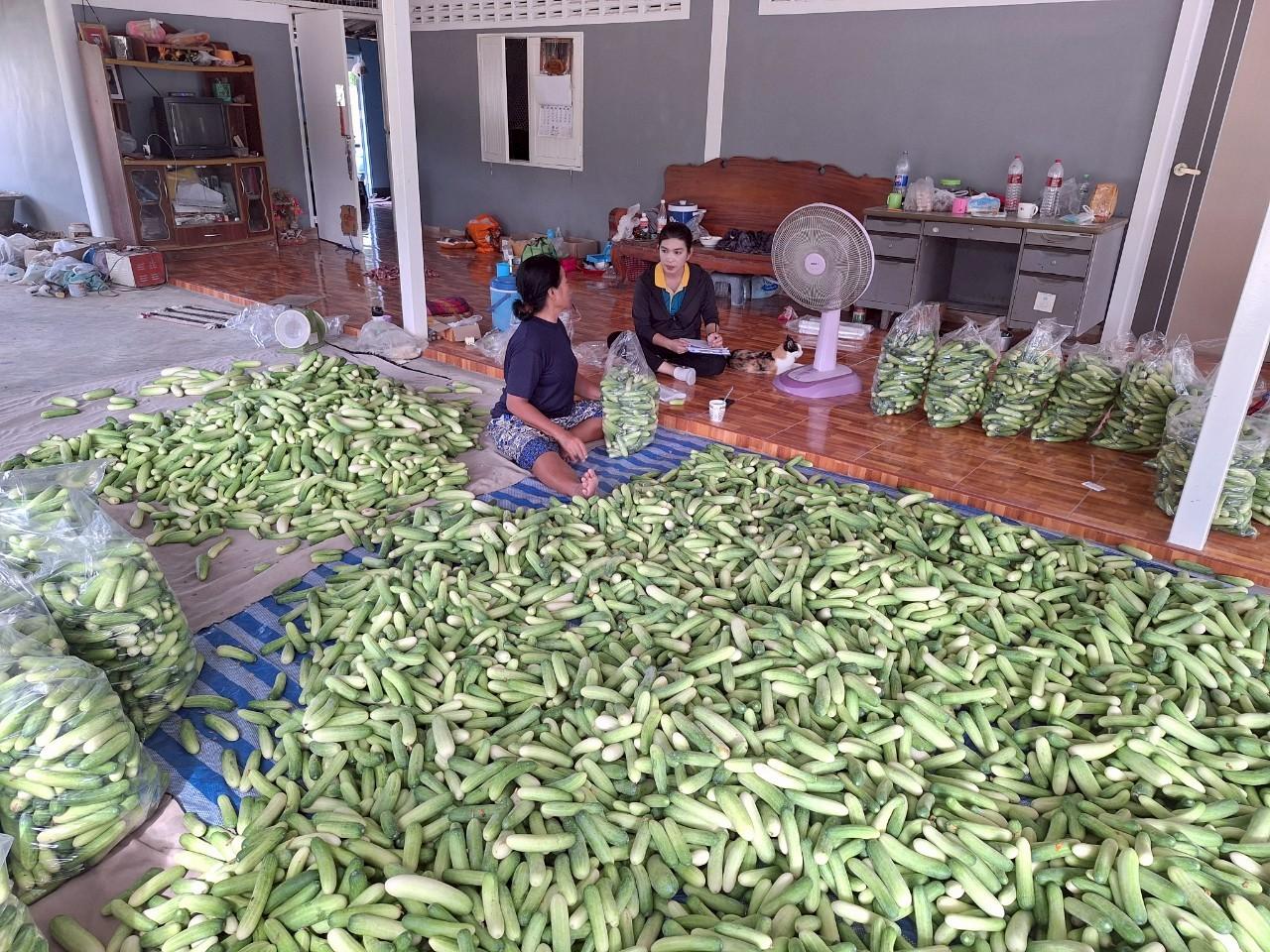 ภาพประกอบที่ 2