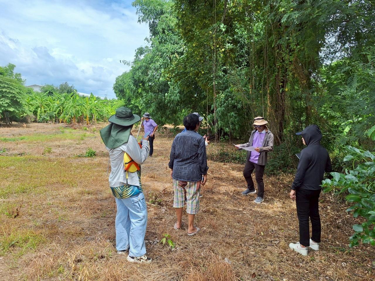 ภาพประกอบที่ 4