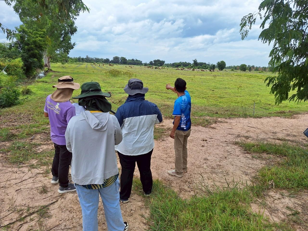 ภาพประกอบที่ 10