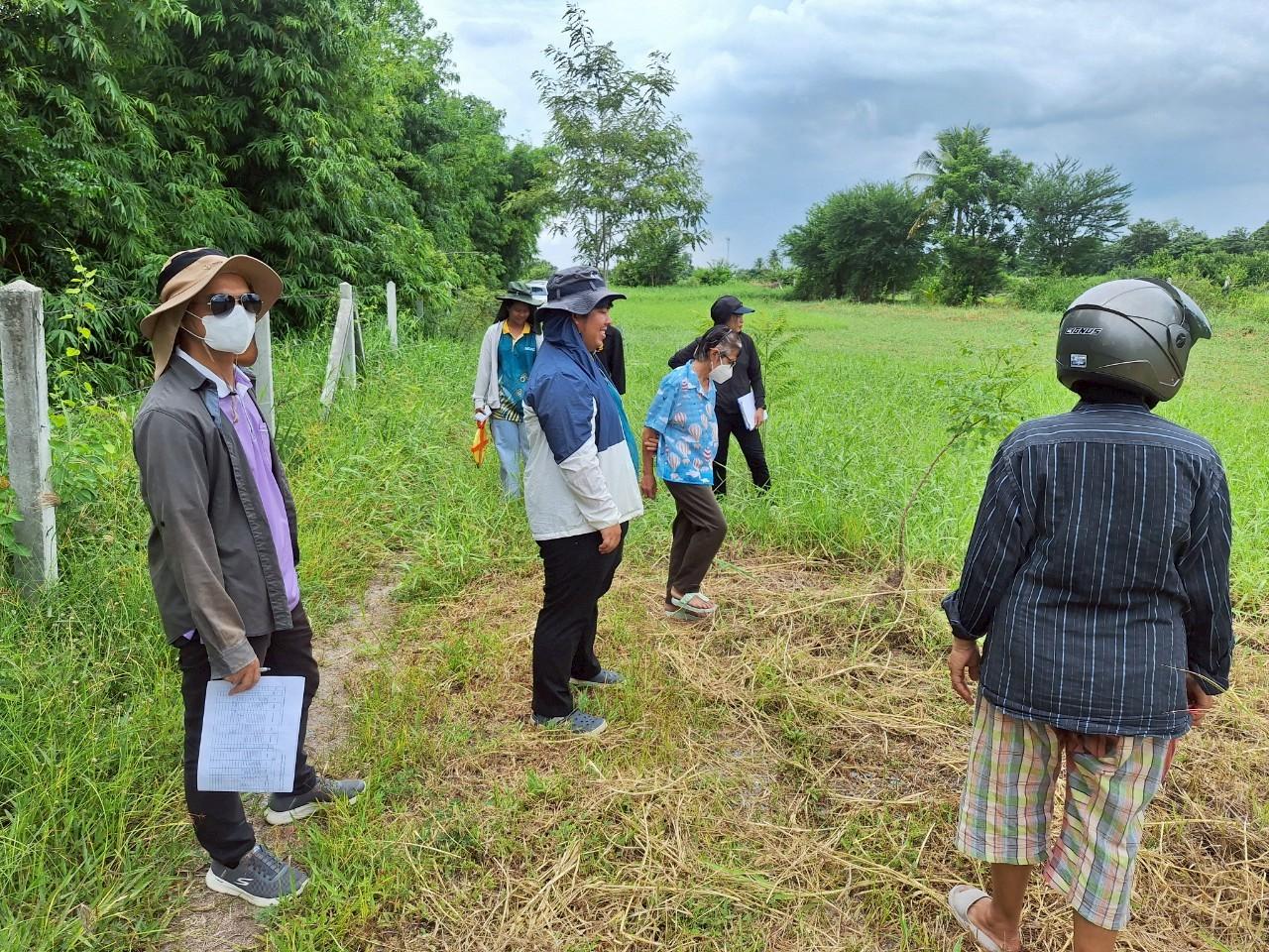 ภาพประกอบที่ 11