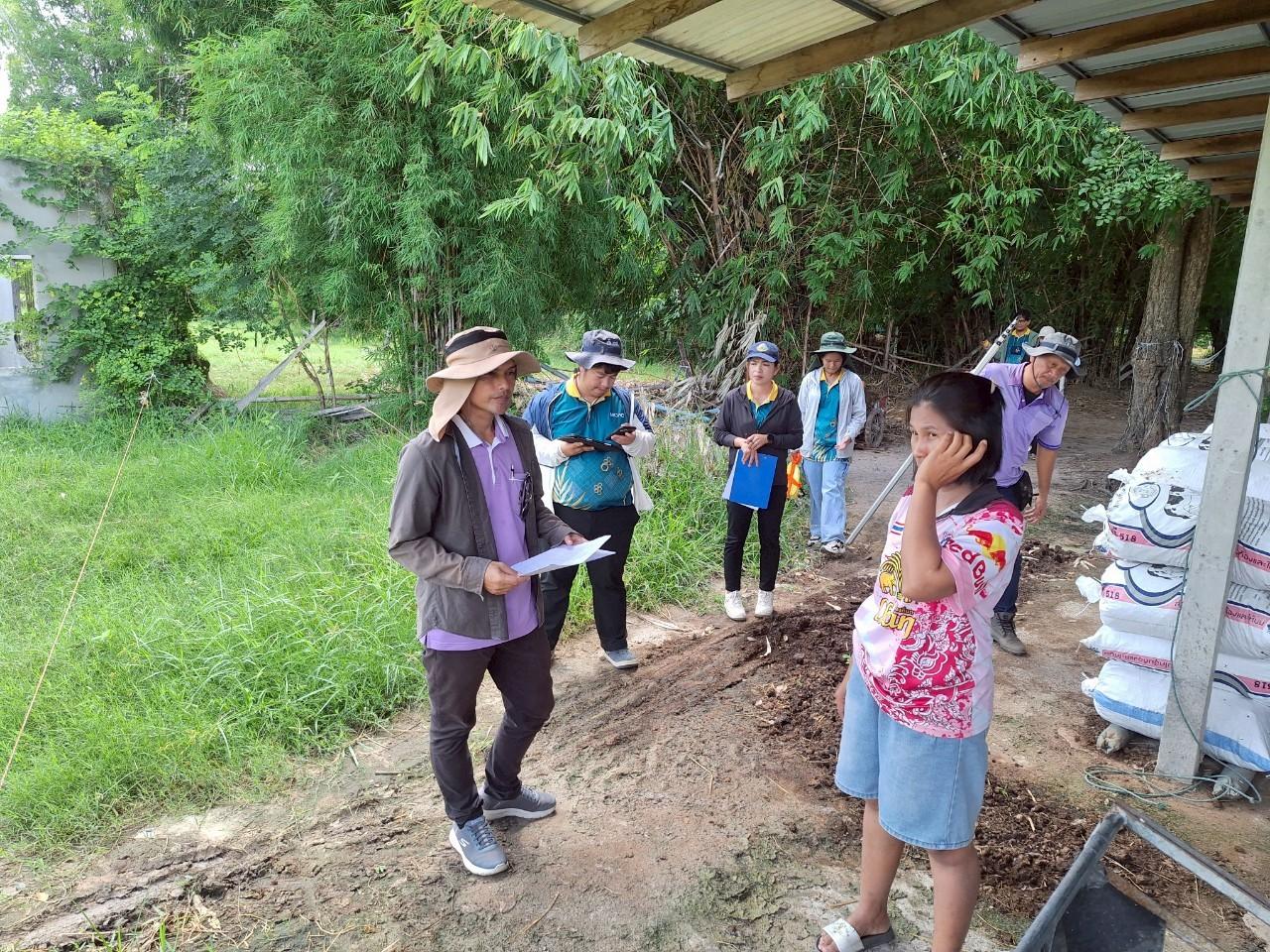 ภาพประกอบที่ 13