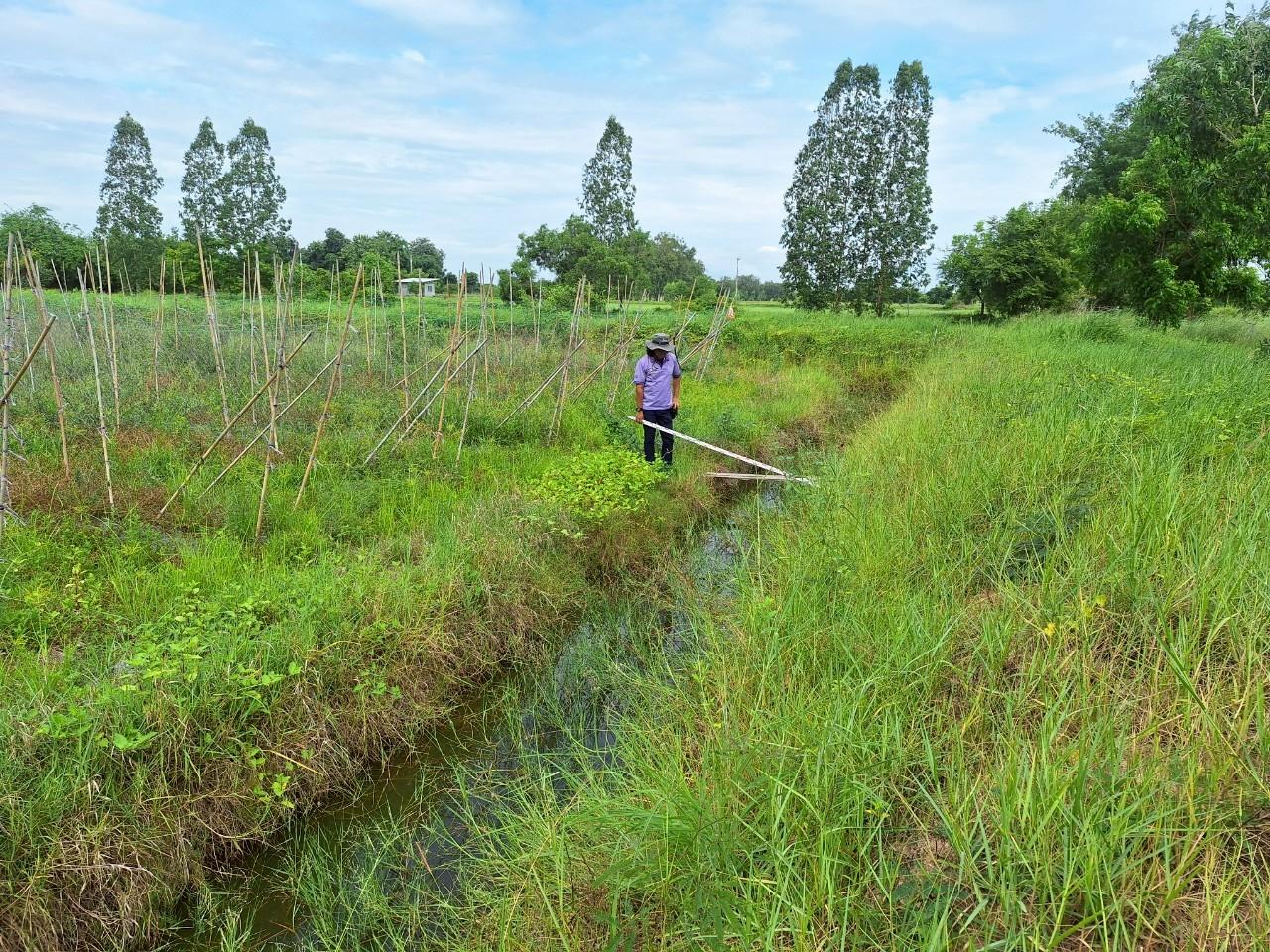 ภาพประกอบที่ 15