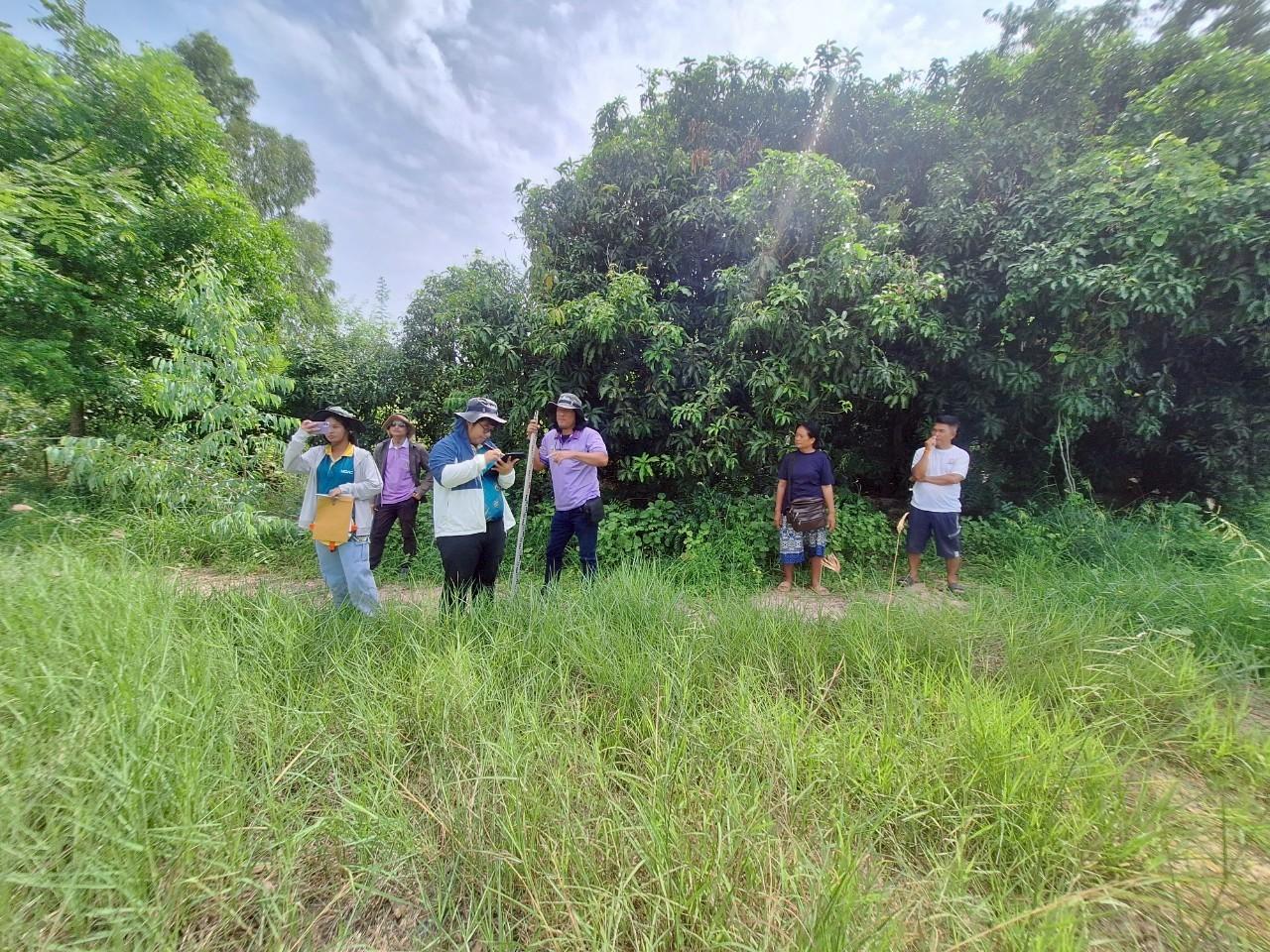 ภาพประกอบที่ 16